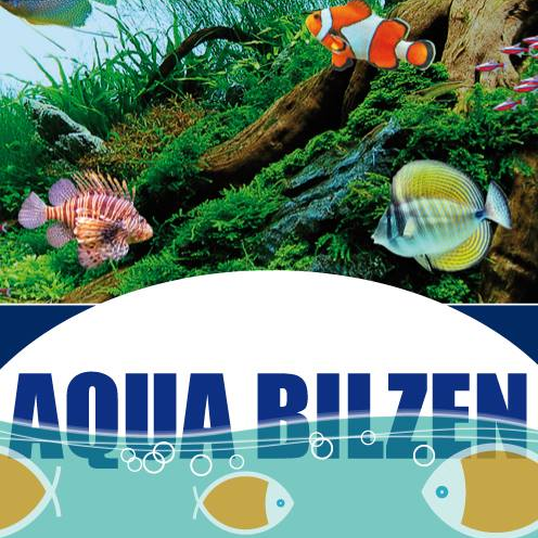 Promotion Aqua Bilzen : Local Day'22: Aqua Bilzen