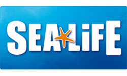 Sea Life promotie : Promoticket met ijsje