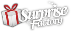 Surprise Factory promotie : Valentijn